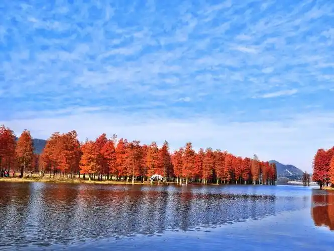 余姚景点,余姚问题,马尔代夫旅游 - wee旅