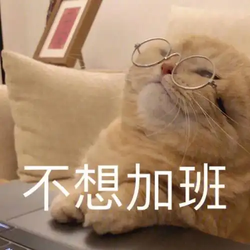 不想加班表情包