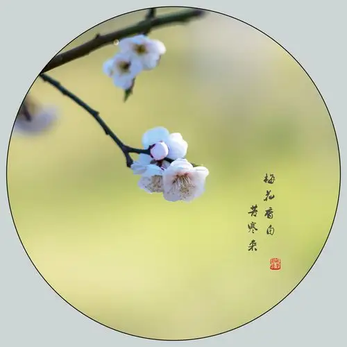 拍摄/视觉 文字/网络 —————— ——————  陆游(宋)  当年