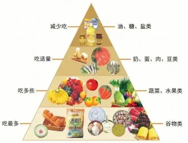 饮食金字塔