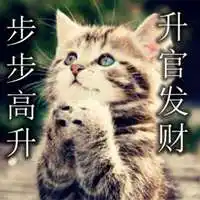 升官发财头像图片 保佑升官发财头像图片大全_微信头像图片大全