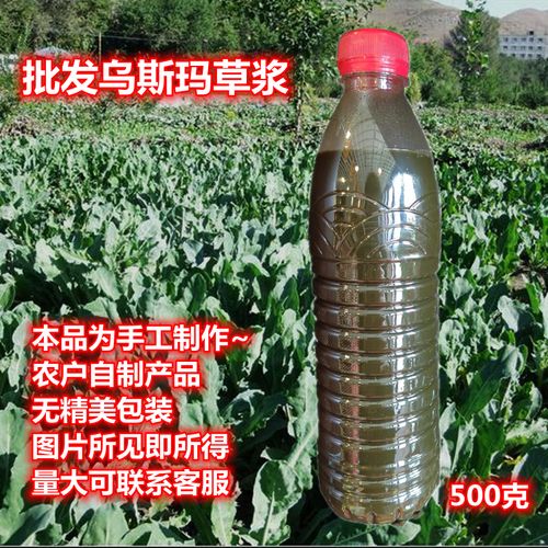 新疆乌斯玛草浆草汁乌斯曼原液鲜榨生发液生眉液睫毛奥斯曼防脱发
