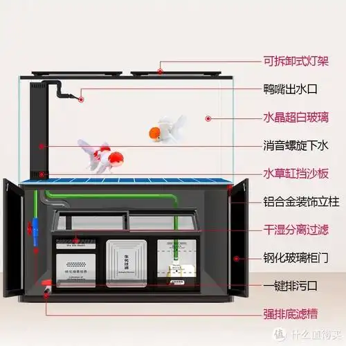宠物水族篇三盘点那些养鱼的过滤方式找到最适合你的养鱼方式成品缸篇