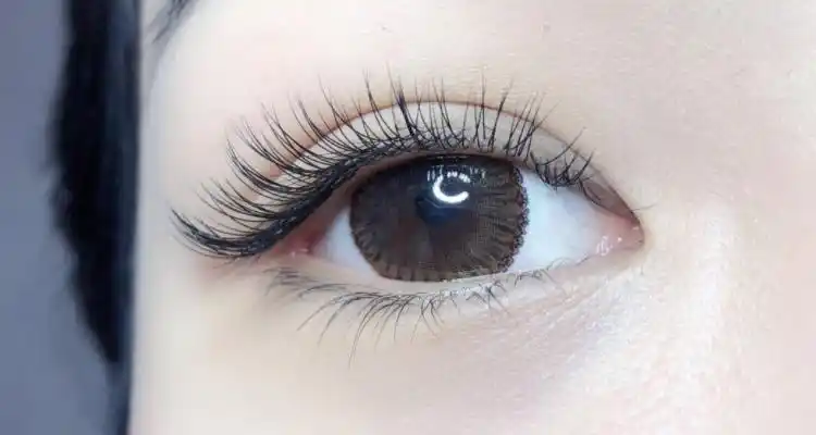 美睫yy和三叶草的区别