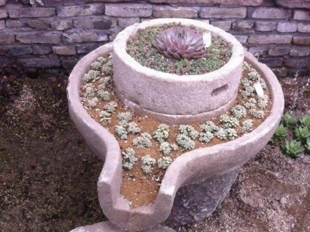 坛子- 热门商品专区