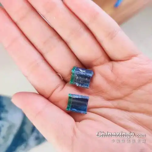 徐州金翼(国际)赛鸽俱乐部电子环更换通知