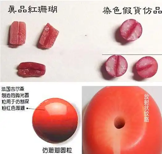 6点鉴别真假红珊瑚
