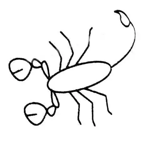 蝎子简笔画 蝎子简笔画霸气