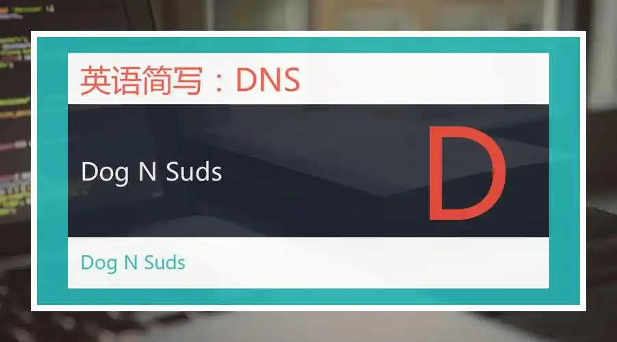 dns:dog n suds(dog n suds)