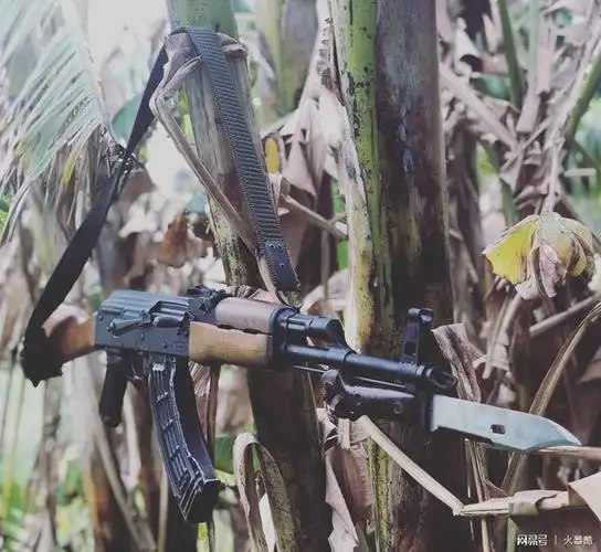 军刺大观步枪与刺刀的关系就好比咖啡和糖君请自酌