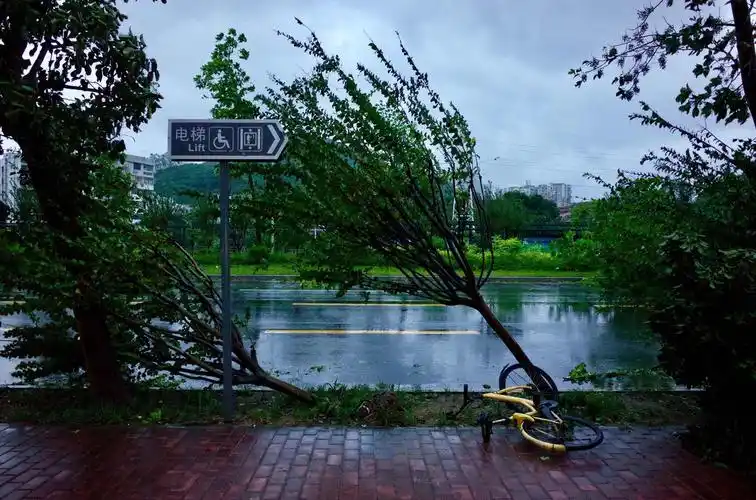 台风后的深圳