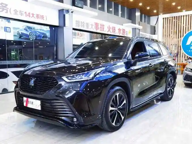 丰田 皇冠陆放  2021款 2.5l hev四驱旗舰版图片
