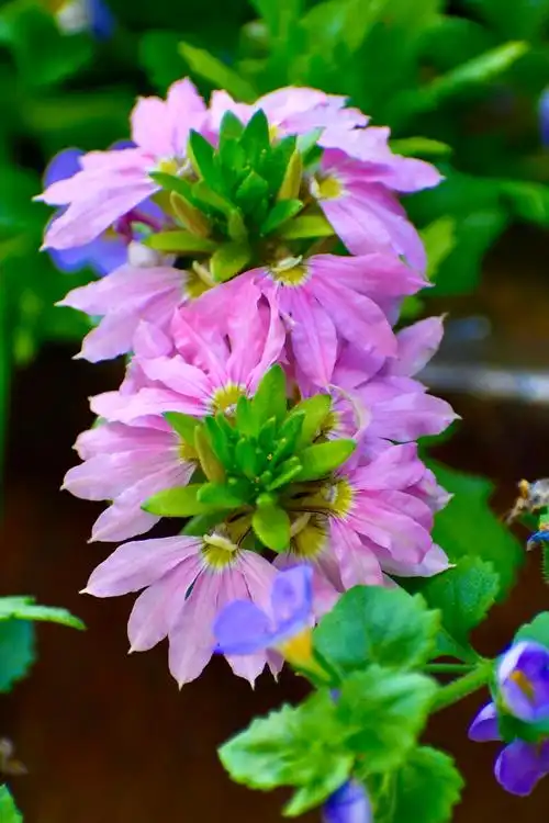 800_1200竖版 竖屏