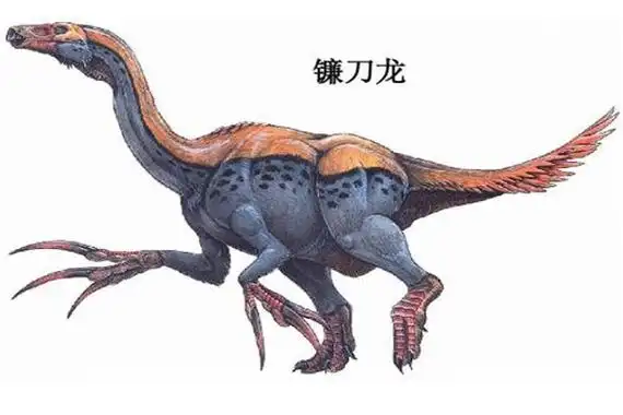 未解之谜 动物未解之谜 镰刀龙的骨骼其实非常的特殊