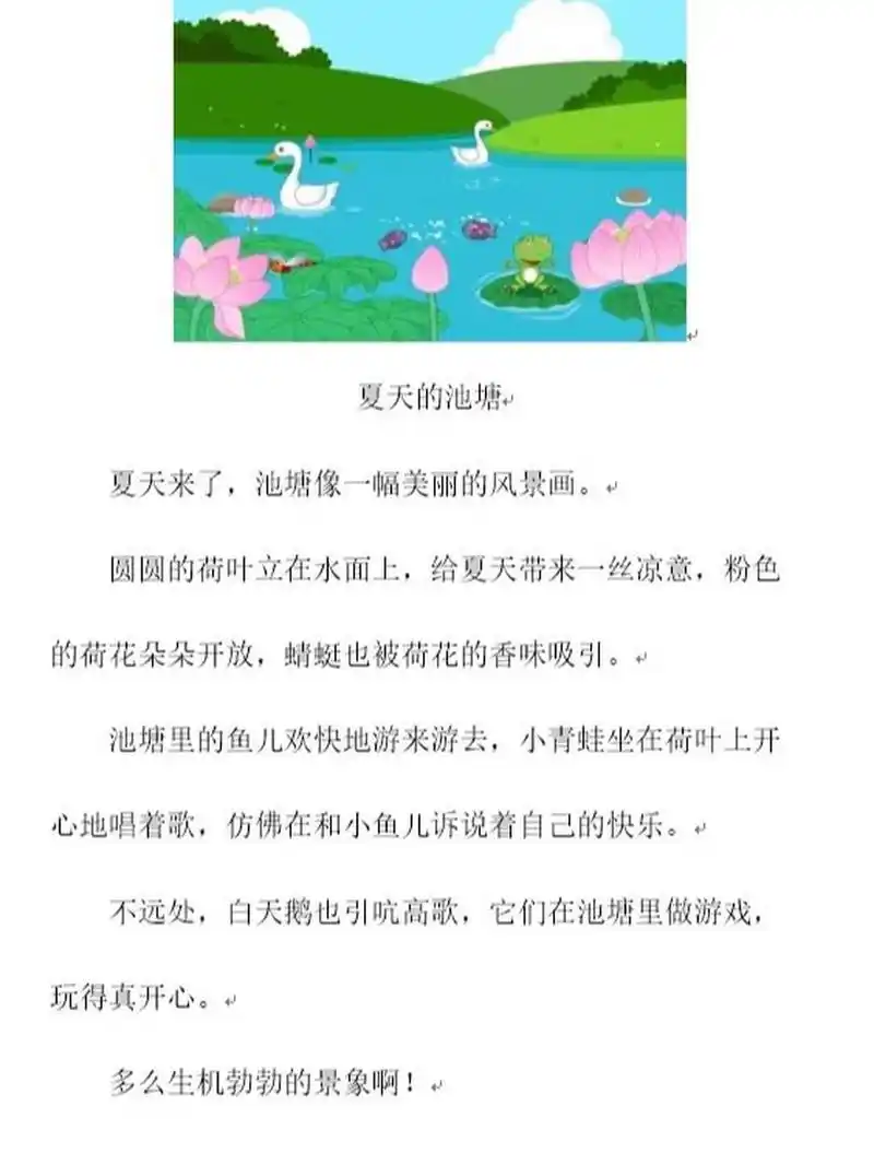 看图写话《夏天的池塘》 传上来被压缩了,喜欢的可以私我发word文件一
