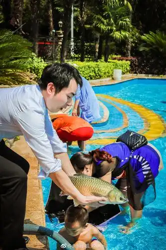 每到周末长沙碧桂园凤凰酒店就会举办亲子抓鱼大赛