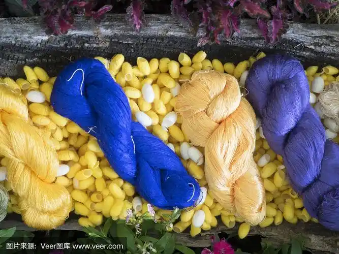 篮子里的蚕茧,黄的和白的蚕茧