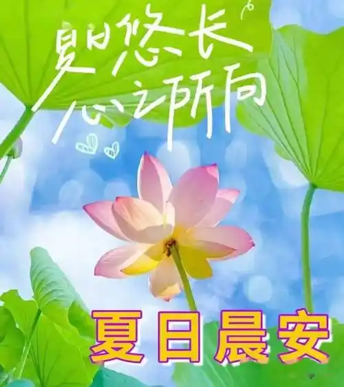 早上好图片带字带祝福语2022唯美夏天早安问候祝福语图片文字精选