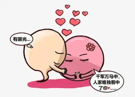 安全期为爱鼓掌也中招性福孕气须计划