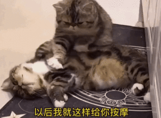 表情包##表情包无水印##搞笑表情包