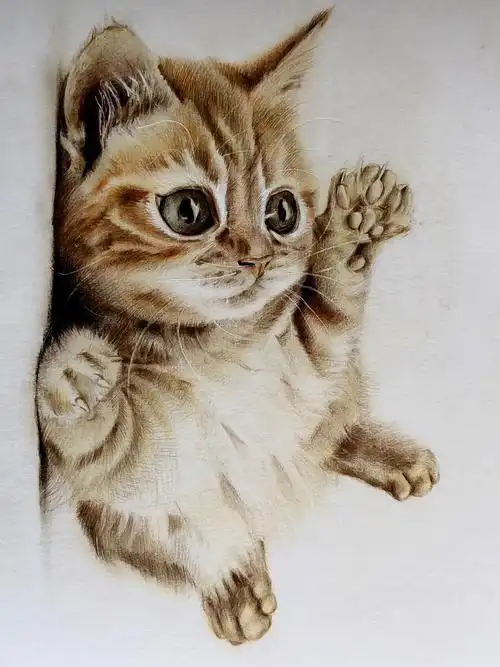彩铅猫咪