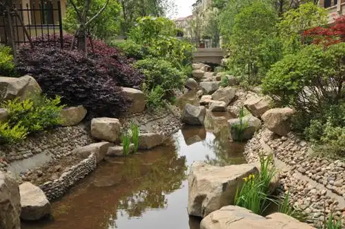 自然式的驳岸水景