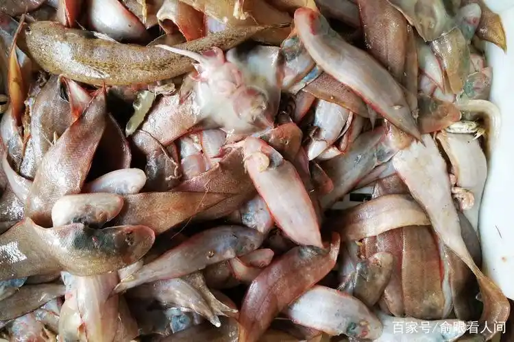 连续大风 菜市场鲜活海鲜量少价高 部分市民转向淡水河鲜