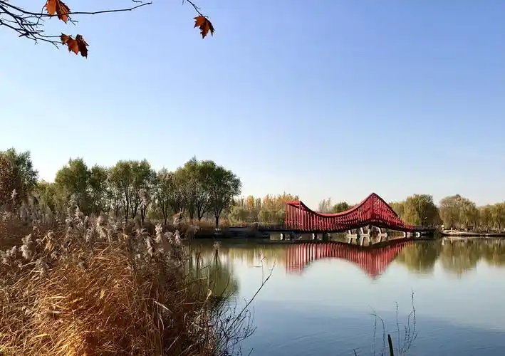 台湖公园景色真不错