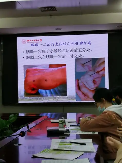 颈肩腰腿疼的全息针灸