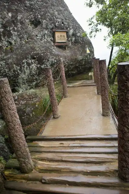 武夷山桐木关旅游