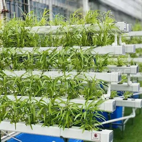 a字架水培系统种植架无土水培设备 阳台管道种菜机梯式水培机