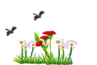 410_277gif 动态图 动图