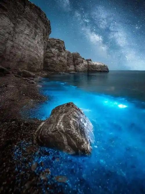 注意!蓝色荧光海已经进入高发期_大黑石_大连_景观