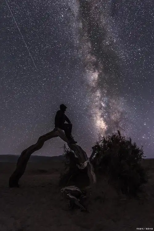 孤独,高傲在灵魂里
