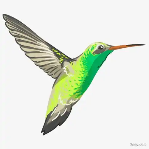 卡通动物蜂鸟png素材透明免抠图片-动植人物