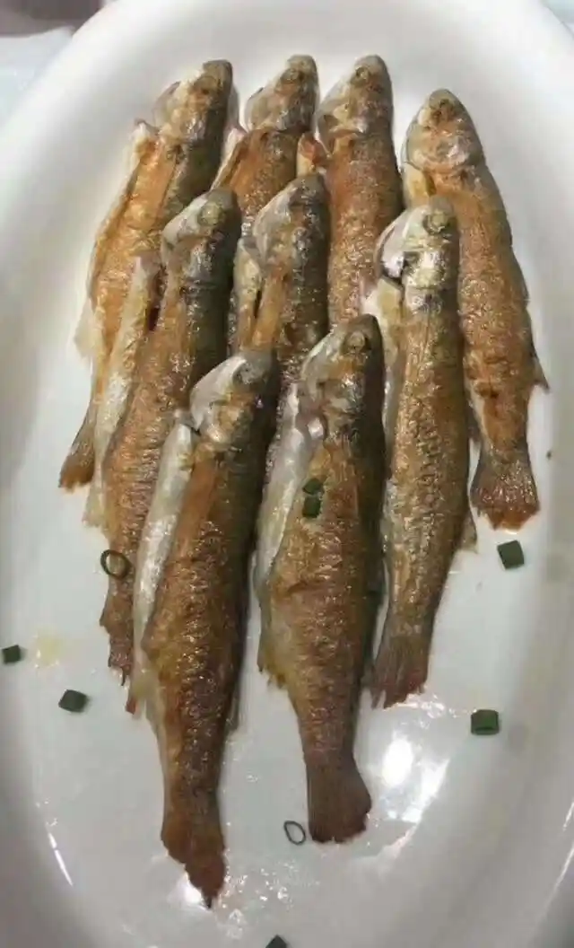 煎斋鱼(鲻鱼),这个好下饭