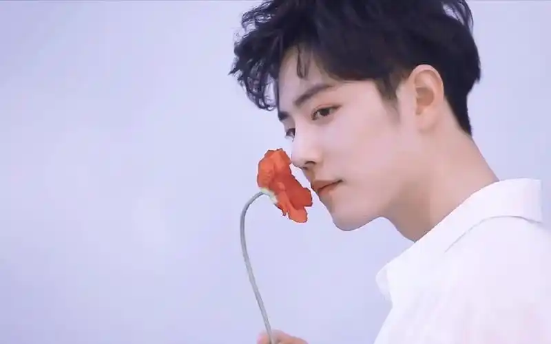 肖战三十三旁白,高清壁纸图片,大陆明星-回车桌面