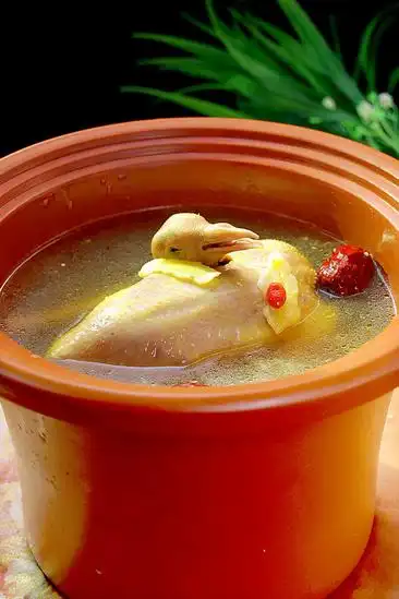 高清天麻炖乳鸽图片2