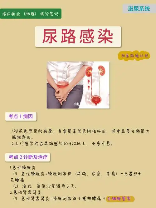 临床提分笔记丨泌尿系统—尿路感染,快学习