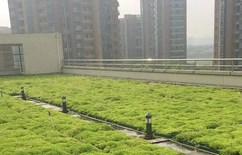 屋顶绿化:风景园林中的"别动队"