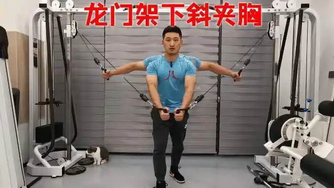 龙门架下斜夹胸「胸部」增厚下胸肌内侧-健身视频-搜狐视频