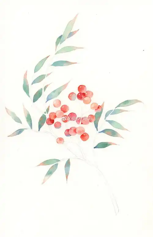 水彩画入门:简单的南天竹水彩画教程