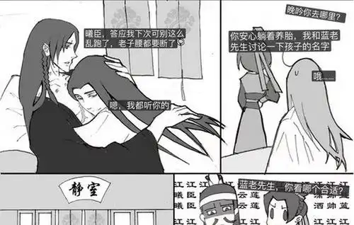 魔道祖师蓝曦臣怀孕道友的焦点都放在江澄给孩子起的名字上