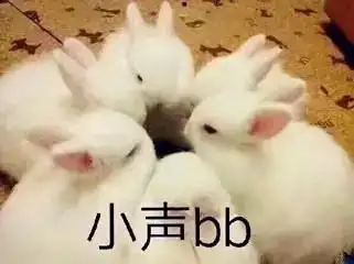 小声bb_bb_小声表情