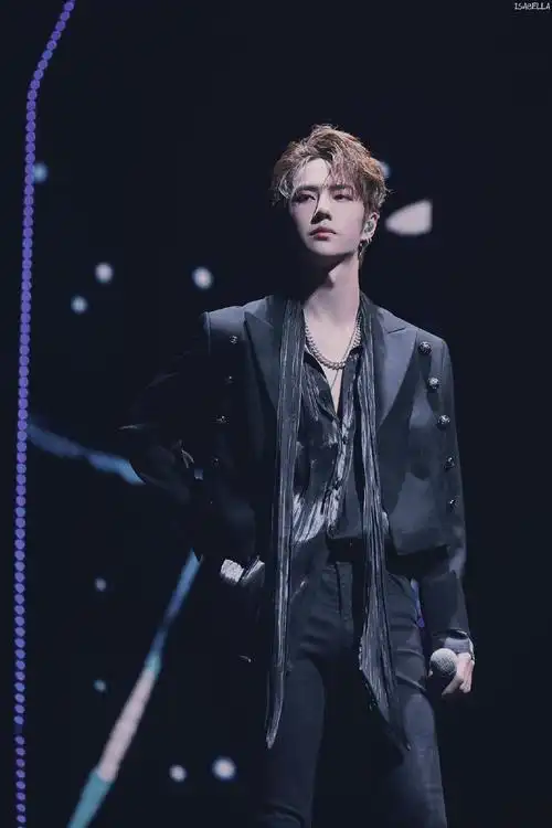 乐华十周年演唱会王一博