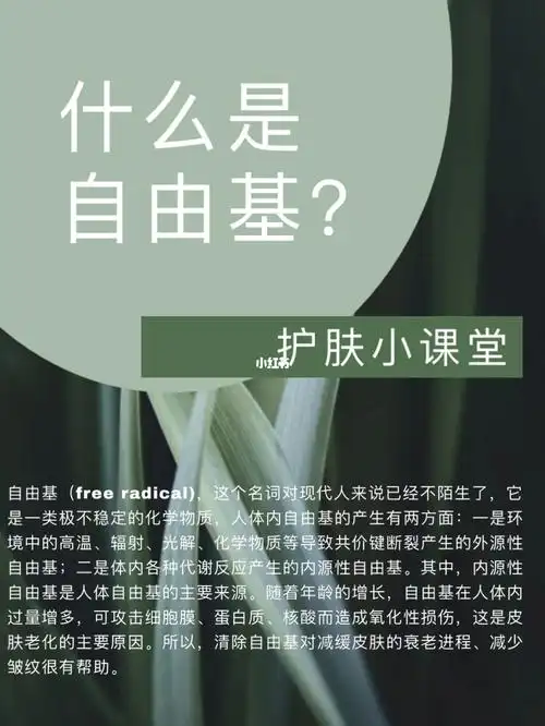 皮肤管理海报什么是自由基