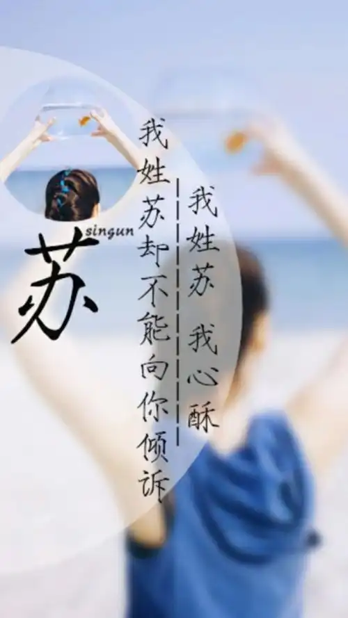 我姓苏的文字图片
