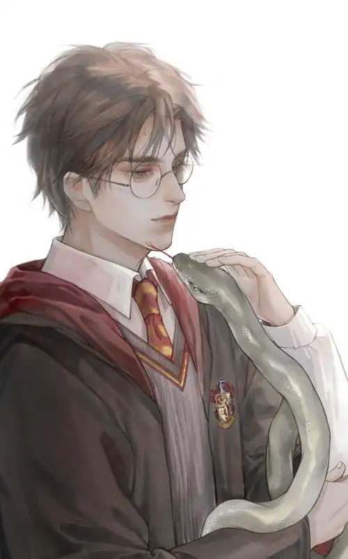 哈利波特图源lofter画师晏师