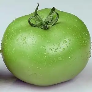 供应绿宝石番茄种子