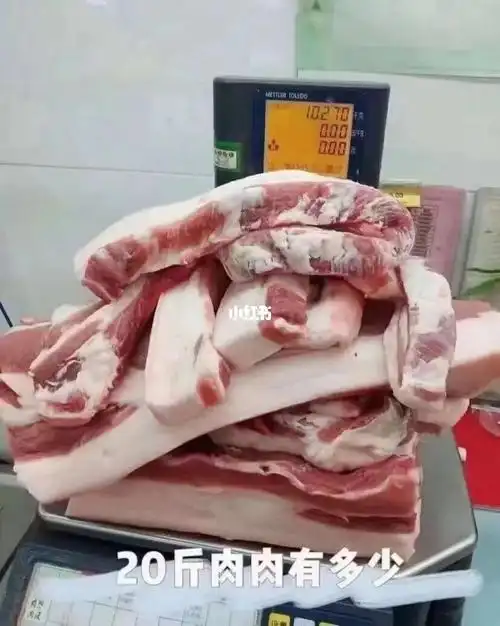 20斤肉是这么多